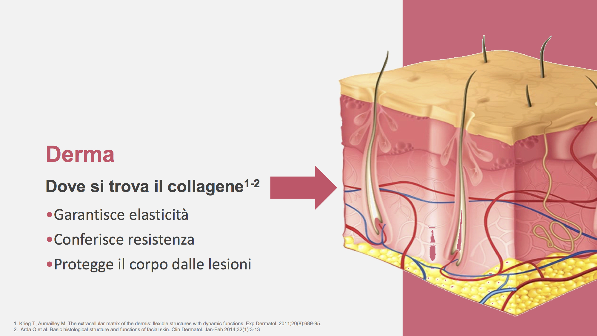 Derma